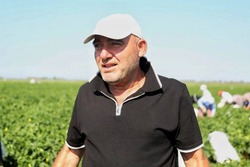 Астраханские фермеры могут подать заявку на получение гранта