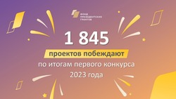 Проекты астраханцев получили от Фонда президентских грантов 9 млн рублей