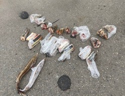 В Астраханской области задержали автомобиль с краснокнижной рыбой