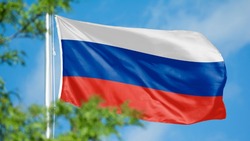 Россия вернула сирийскому коммерсанту конфискованное Украиной оборудование