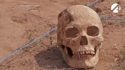 Археологи обнаружили в Астраханской области жилую застройку XIV века