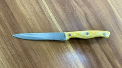 Астраханка ударила мужа подруги ножом в спину