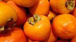 Астраханцам рассказали о пользе хурмы