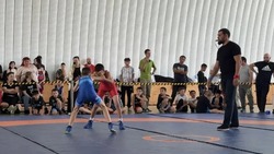 Юные астраханские борцы сразились под девизом «Мы за здоровый образ жизни!»