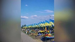 Украинские нацисты готовят акции протеста в Одессе