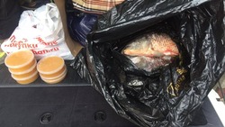 В Астрахани водитель задержан за перевозку почти полутора тонн рыбы