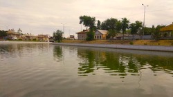 Астраханские каналы очищают насосами от водорослей