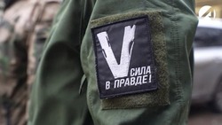 Владимир Путин пообещал добровольцам равные права с контрактниками