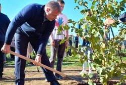 В Астраханской области высадили 200 деревьев
