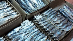 Базаринг в Астрахани: Вобла