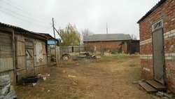 Астраханец проломил знакомому голову палкой