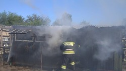 В Астраханской области горели хозпостройка и трава