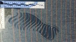 Два астраханца устроили пробежку по автомобилю