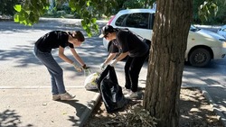 Дни чистоты преображают Астрахань 