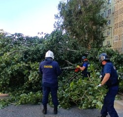 Астраханские коммунальщики ликвидируют последствия сильного ветра