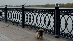 27 апреля в Астраханской области ожидается небольшой дождь
