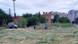 Астраханские власти борются с сорняками