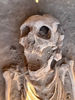 Астраханские археологи раскопали древний скелет