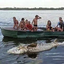 Астраханские реки шокируют находками и удивляют обитателями