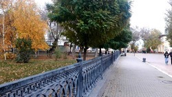 20 ноября в Астраханской области будет ветрено и дождливо 