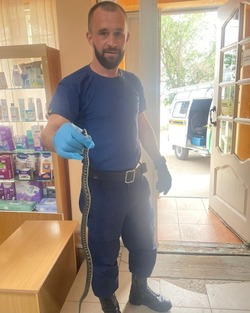 Астраханские спасатели поймали в аптеке змею