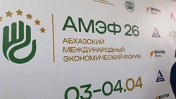 В Абхазии завершился международный экономический форум