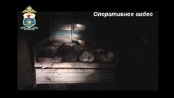 В Астраханской области мужчину судят за приобретение браконьерской рыбы