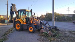 В Астрахани в сентябре ликвидировали более 350 несанкционированных свалок