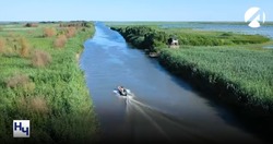 В астраханском заповеднике откроется орнитологический лагерь «Лебедь и Орлан V2.0 Digital»