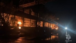  В Астраханской области тушат крупный пожар на складе