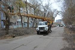 В Астрахани проводят комплексную опиловку деревьев