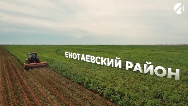 Енотаевский район