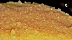 Россельхознадзор нашёл в Астрахани щучью икру из кильки