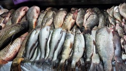 Какую рыбу продают на астраханском базаре