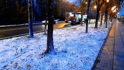 В Астраханской области 23 ноября снова пойдёт снег