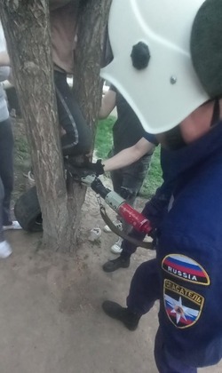 В Астрахани ребёнок застрял в дереве