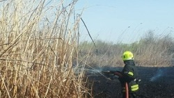 В Астраханской области вновь горит камыш