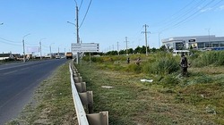 В Астрахани косят вредоносную траву