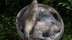 В Астраханской области усилили надзор за рыбаками