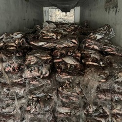 Астраханские полицейские подвели итоги операции «Путина-2025»