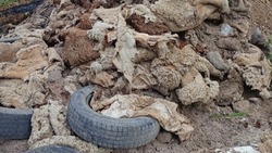 В Астрахани выявлены несанкционированные свалки