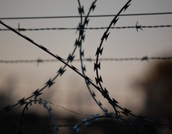 Волгоградские заключённые устроили бунт