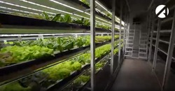 В 2025 году свыше 3800 астраханских бизнесменов получили господдержку 