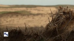 Владимир Путин отметил актуальность проблемы опустынивания в Астраханской области