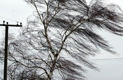 К утру в Астраханской области без электричества оказались 43 населённых пункта