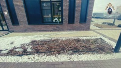 Четырёхлетняя девочка выпала из окна в Астрахани