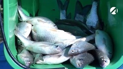 За незаконную ловлю у астраханца изъяли сеть и лодку