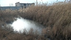 В Астраханской области сточные воды затопили 8 гектаров земли