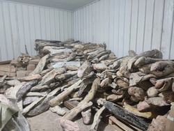 Экс-руководитель астраханской фирмы хотел продавать россиянам немаркированную рыбу