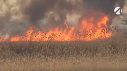 В Трусовском районе Астрахани горит камыш